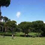 Villa Ada, el mayor parque de Roma